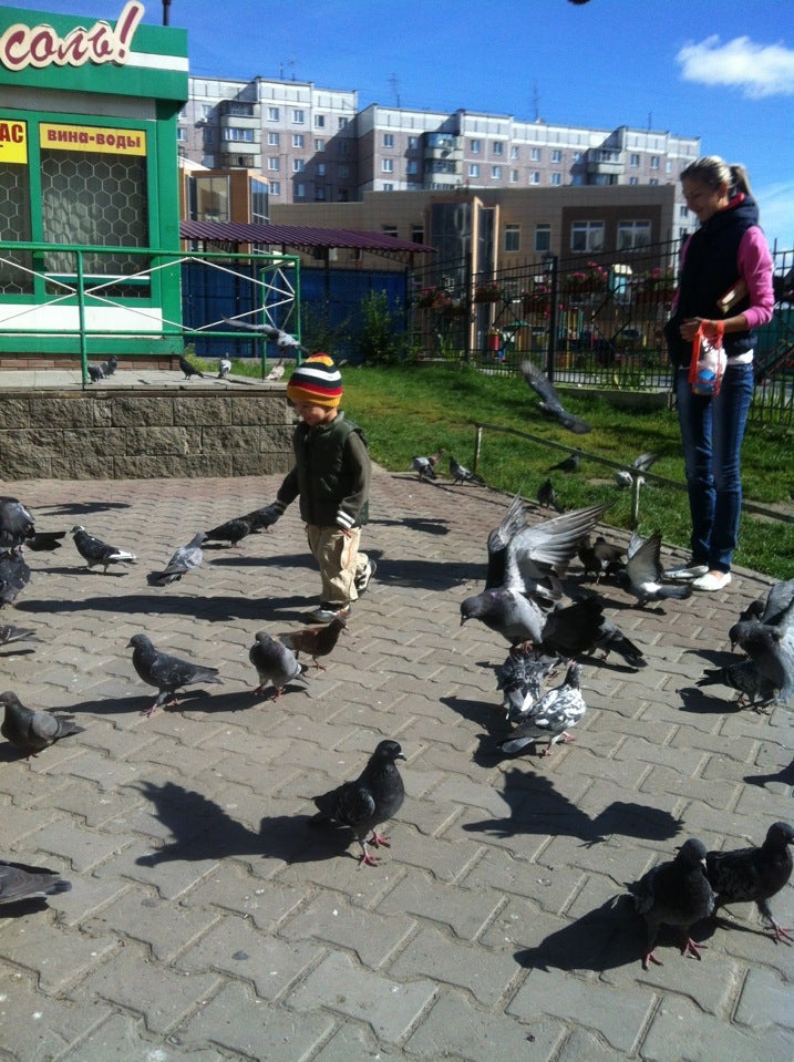 Детская Площадка / Двор