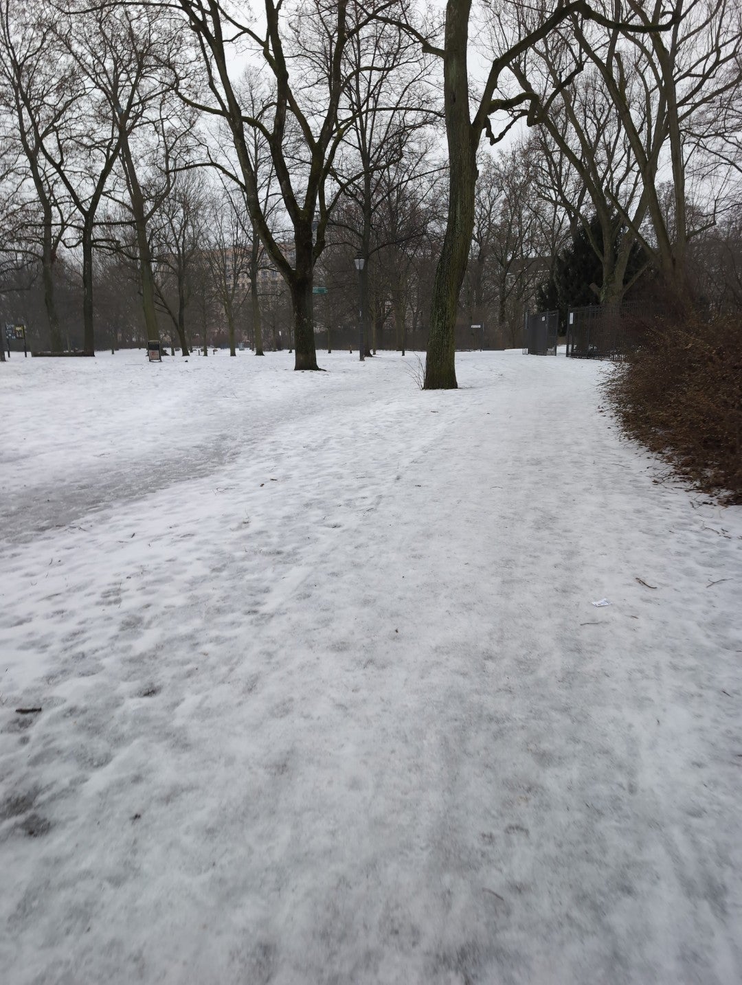 Volkspark Friedrichshain - Berlin cafe