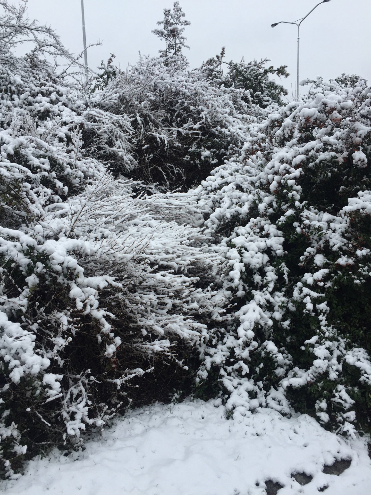 Kuchyňka - photo 5 showing the facility