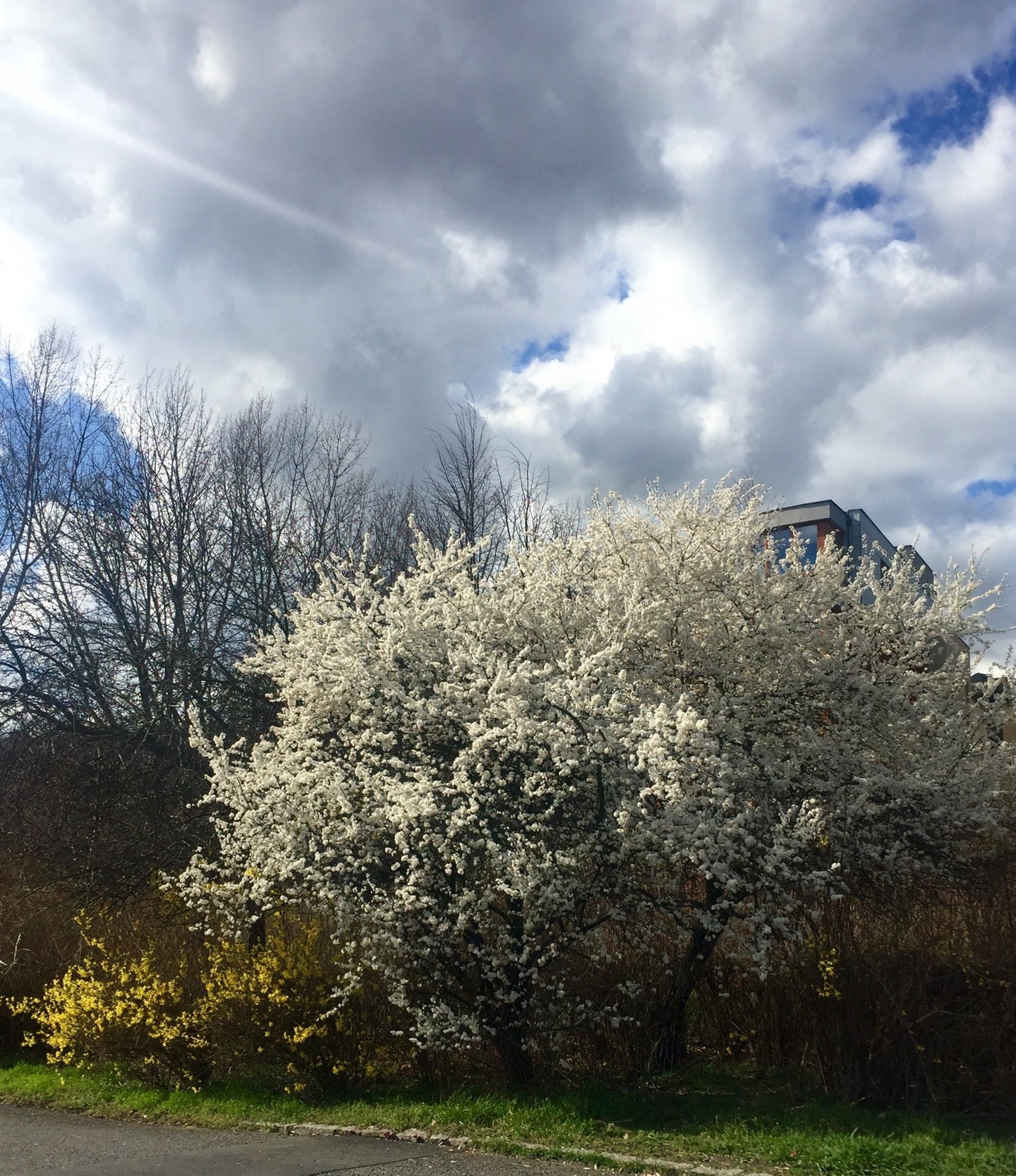 Kuchyňka - photo 4 showing the facility
