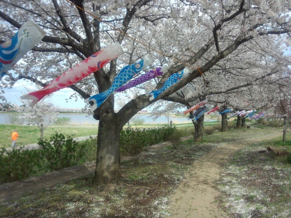 つつじヶ丘パークイン Logo