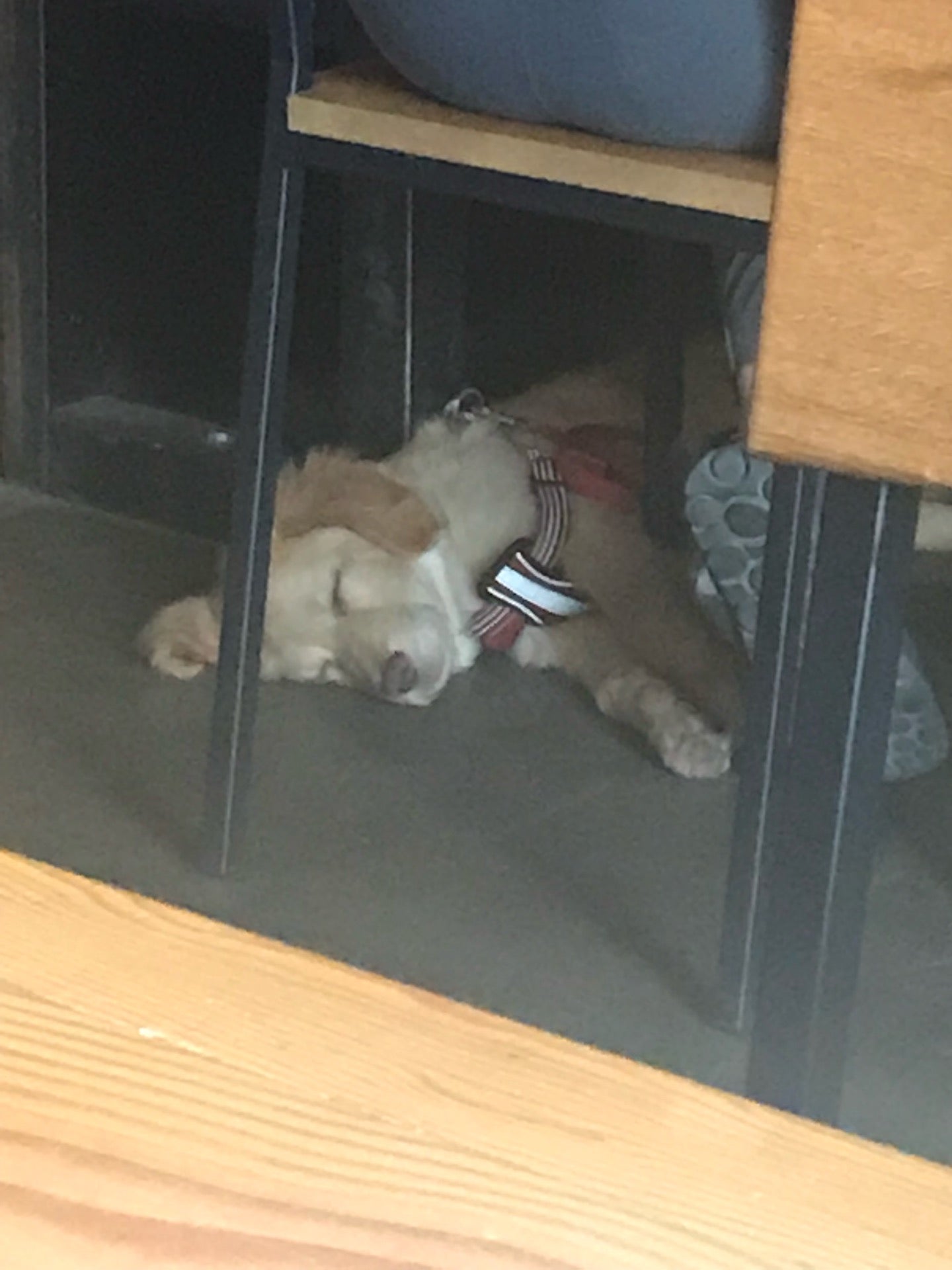 Two Beers Brewing Company 4700 Ohio Ave S Seattle