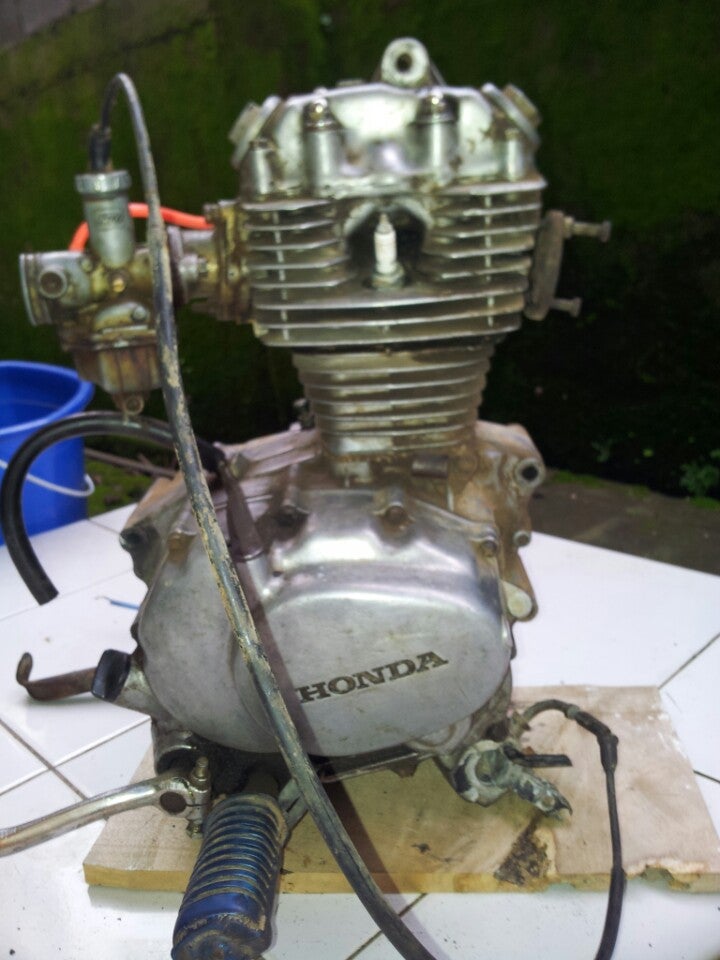 Kebun Bibit Murbei Pakatto