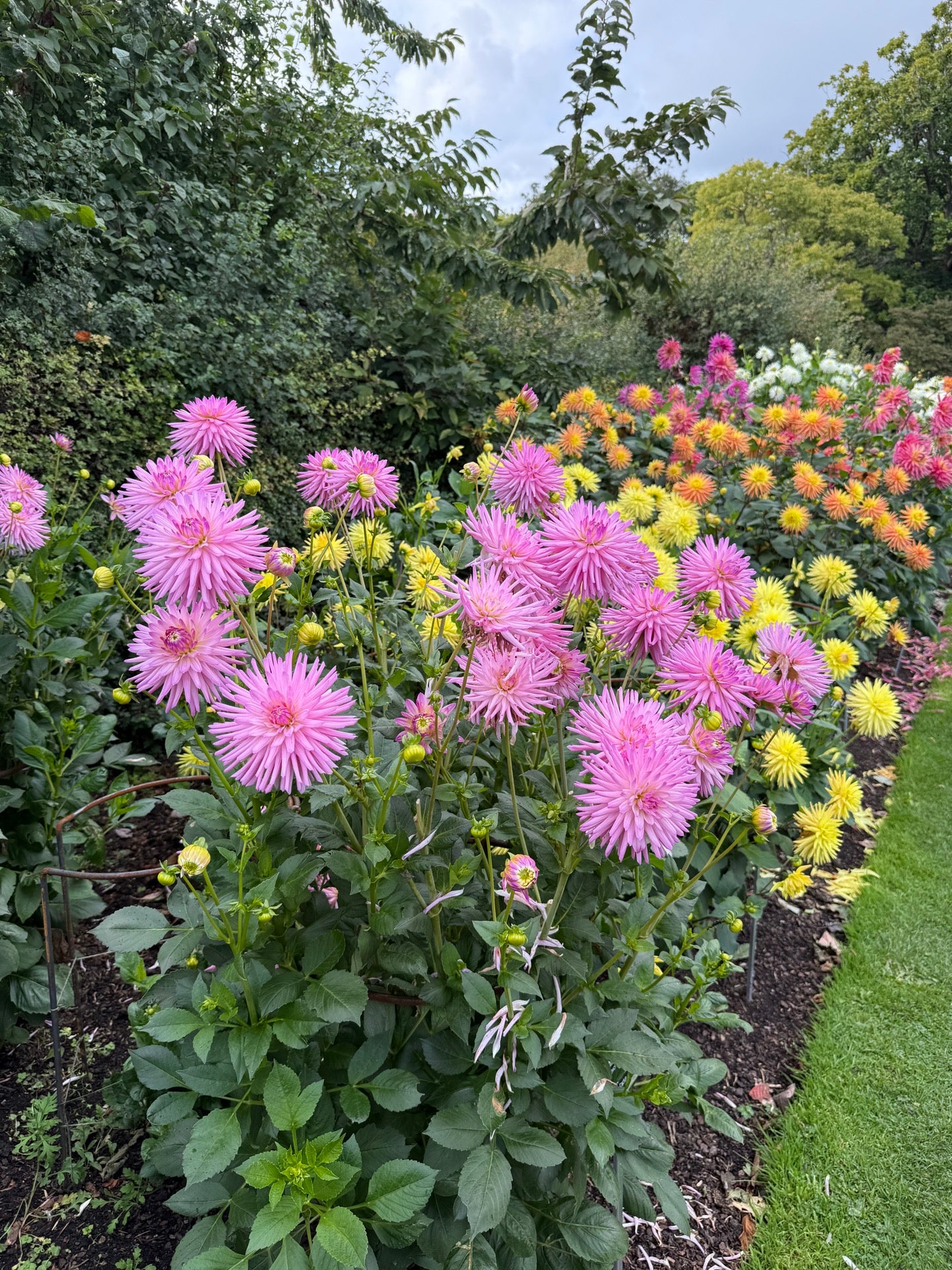 National Botanic Gardens 2