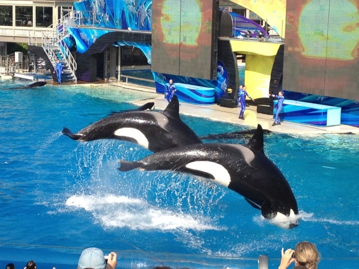 SeaWorld, San Diego, CA: Tickets, Schedule, Seating Charts | Goldstar