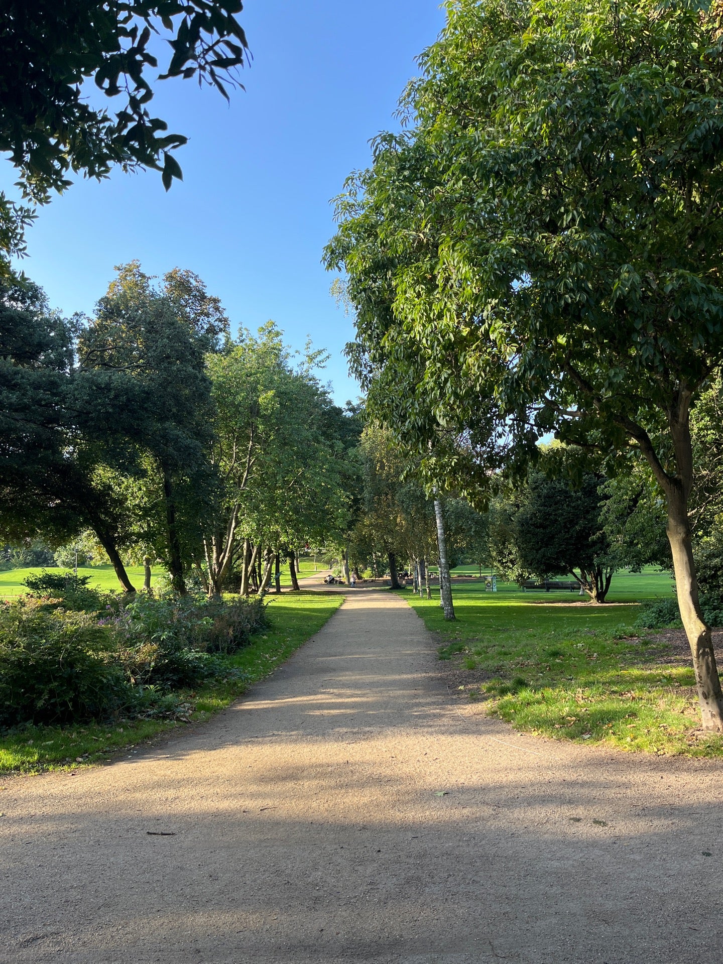 Merrion Square Park 6