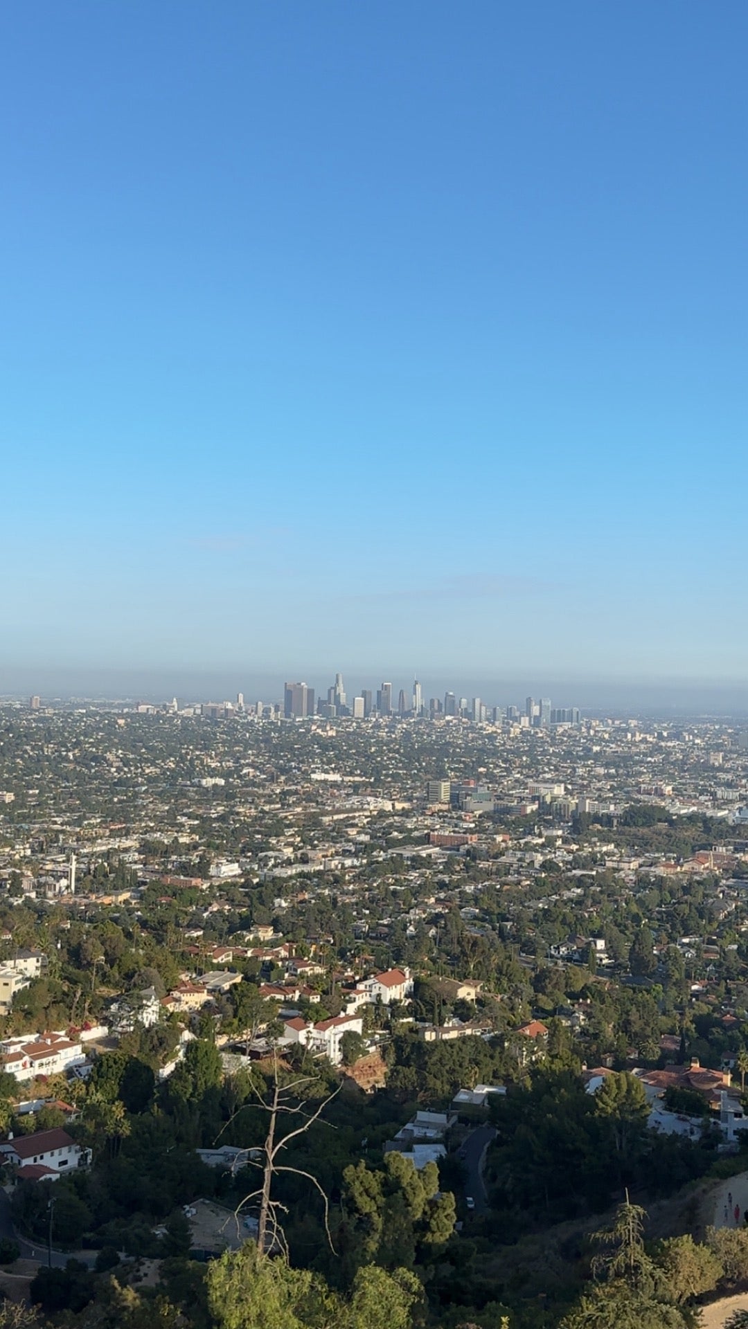 Observatorio Griffith: Guía de viaje de Los Ángeles — Los Angeles