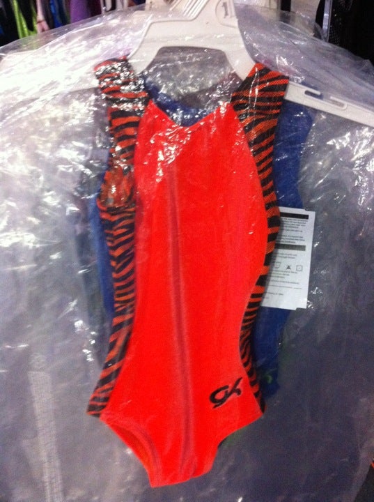 Team Gymnastics Academy