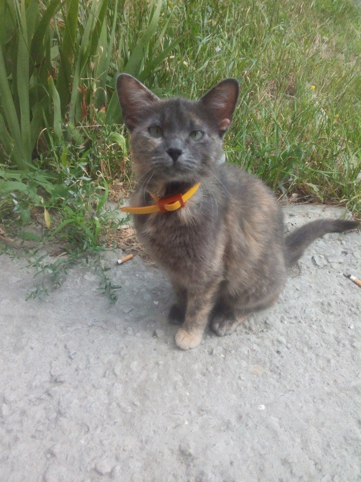 Пятый Корпус Знту