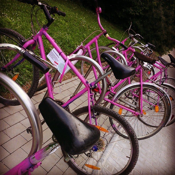 Zemědělská univerzita - photo 5 showing the facility