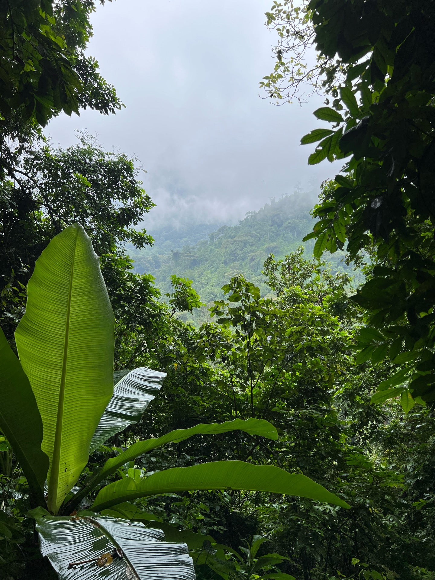 Rwenzori Mountain National Park
