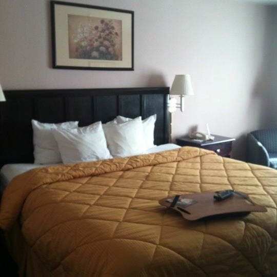 Comfort Inn