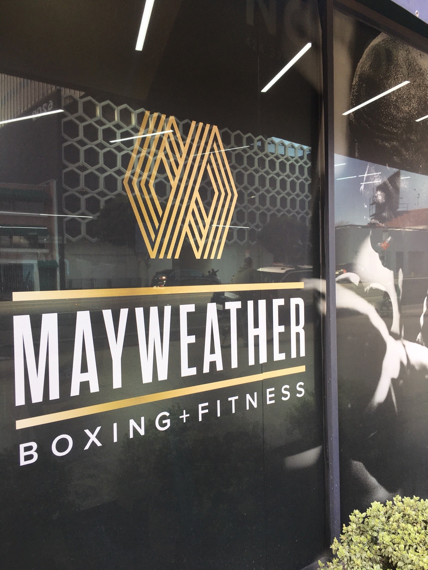 Mayweather Boxing cover photo