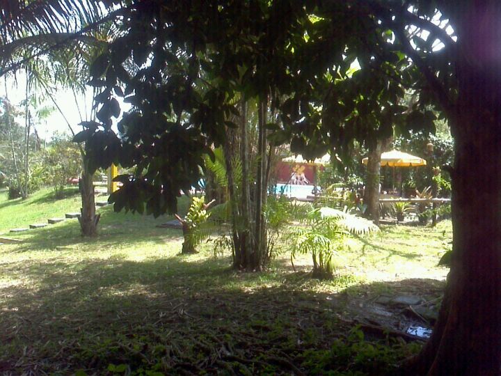 Hotel Quinta Das Alamandas