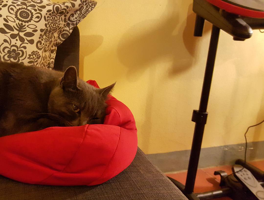 Chiesa Pieve San Paolo Logo