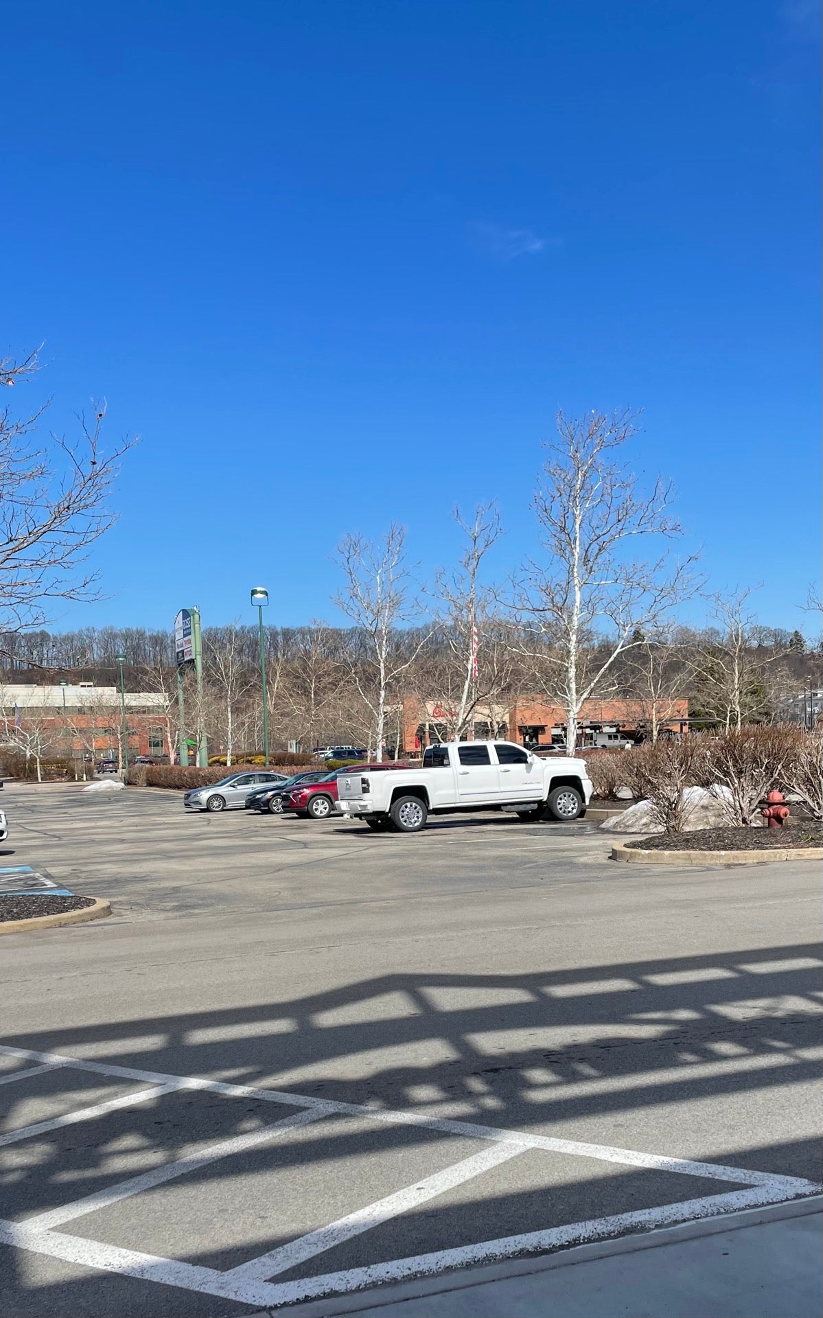 The Waterfront cover photo