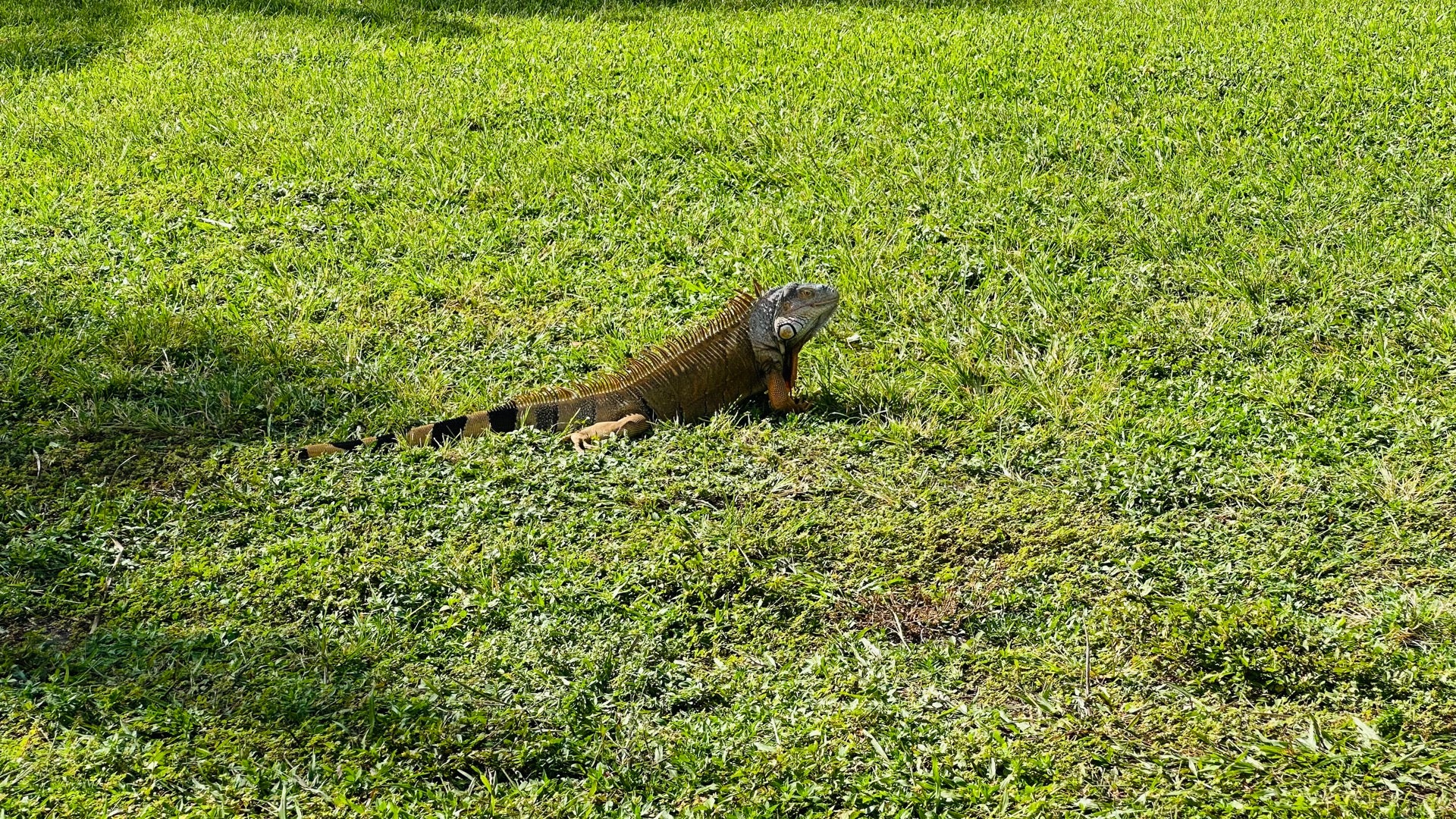 The Fillmore Miami Beach at Jackie Gleason Theater