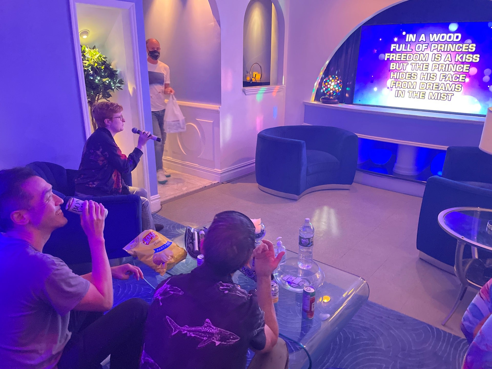 Lion's Roar Karaoke House bar in Brooklyn