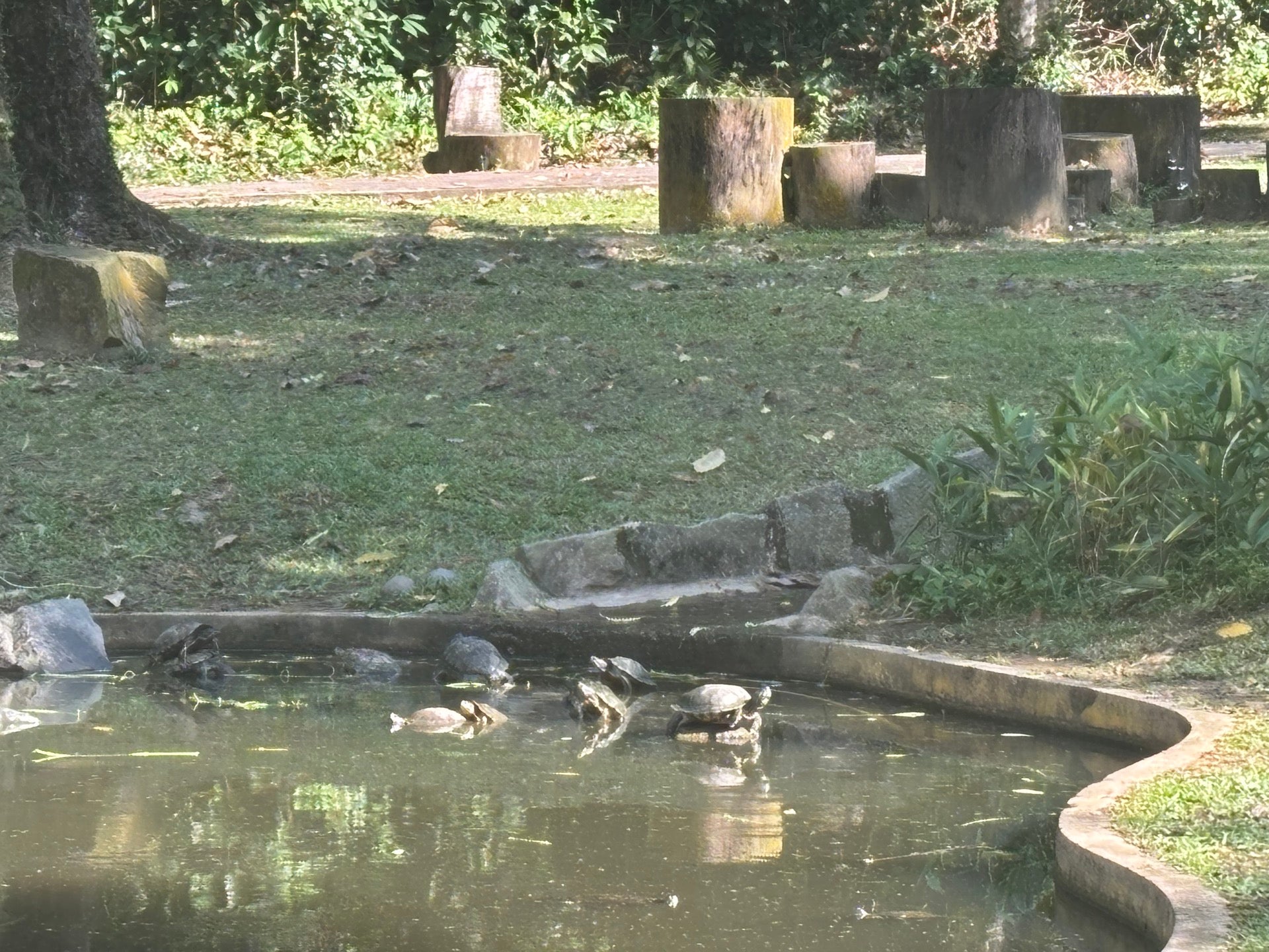 Telok Blangah Hill Park in Singapore, Singapore