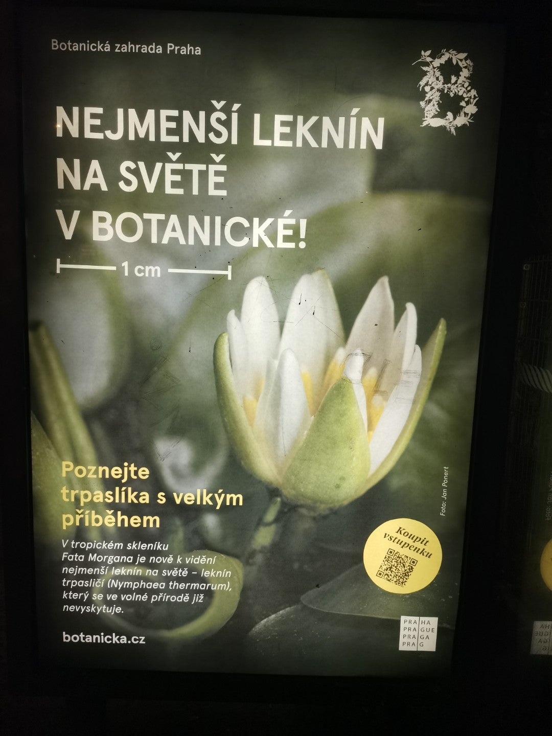 Chodovec - photo 3 showing the facility