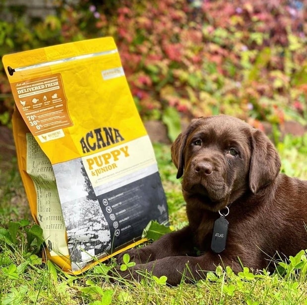 Animo Etc (Blainville - Fontainebleau)