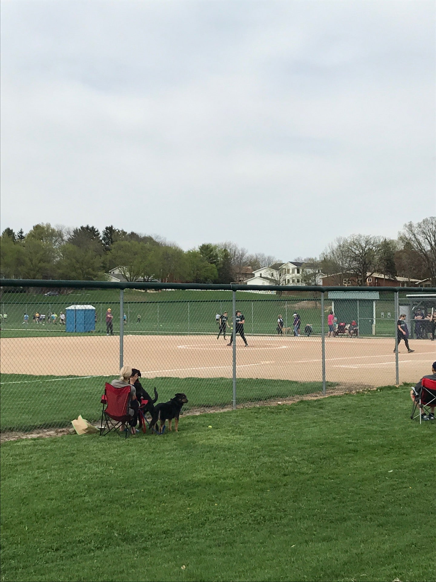 Memorial Softball Diamonds