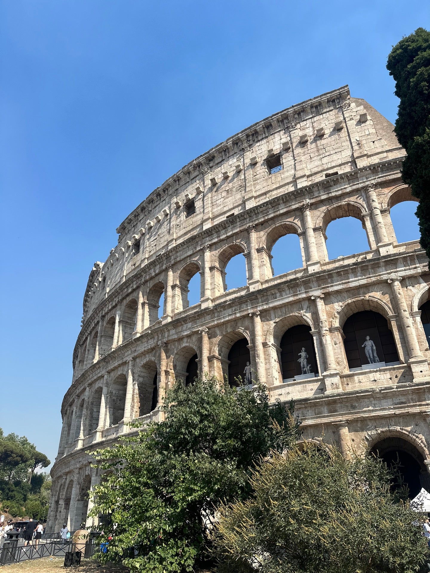 Colosseum in Rome, Italy