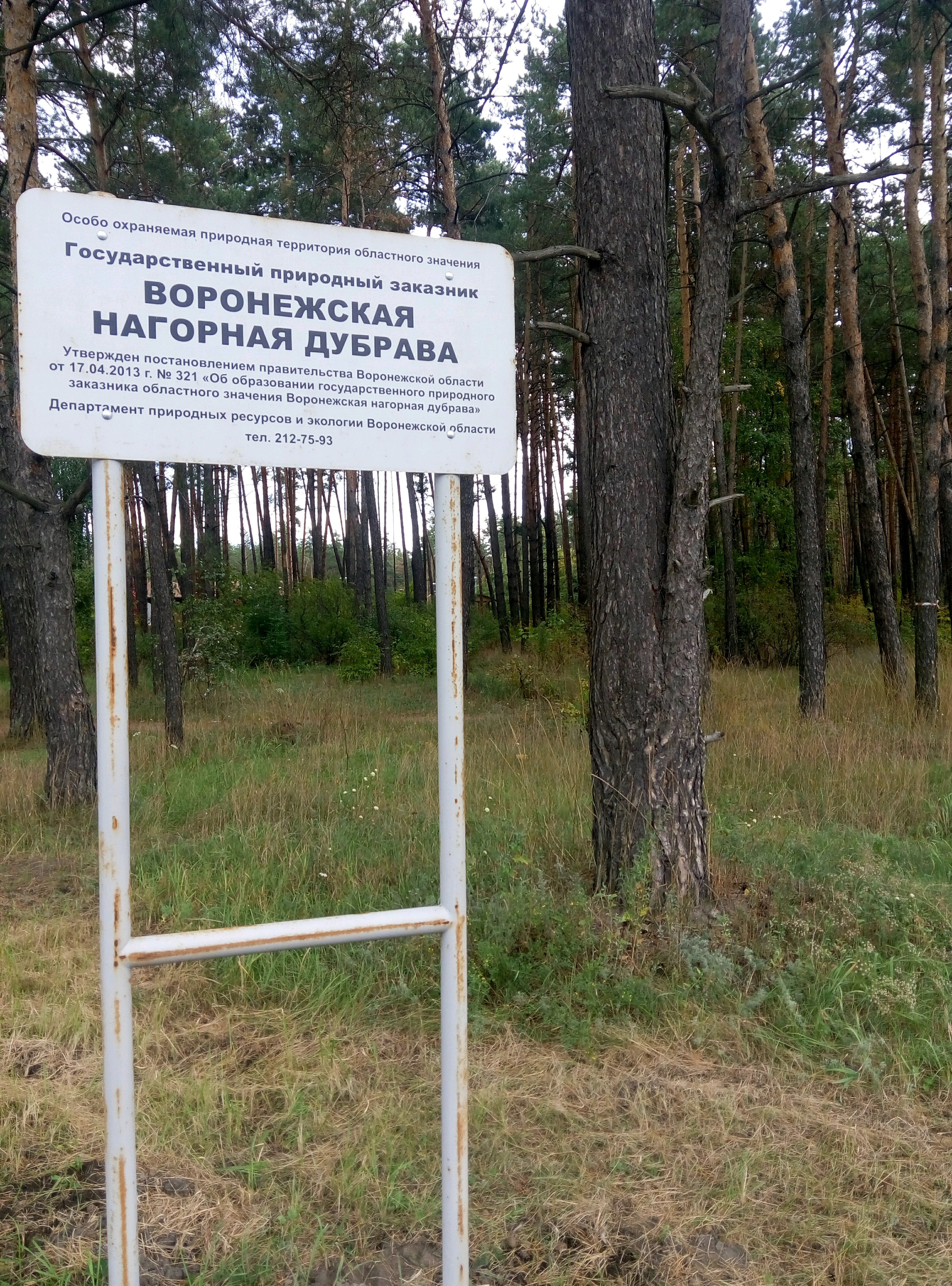 Воронежская Нагорная Дубрава Logo