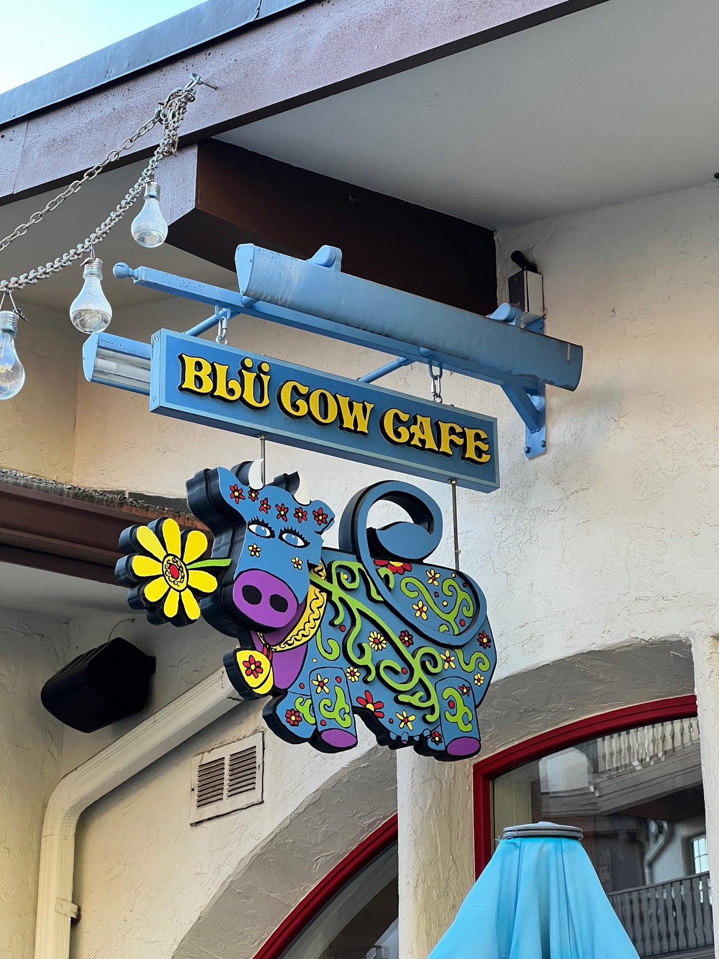 The Rabbit Hole at Chasing Rabbits