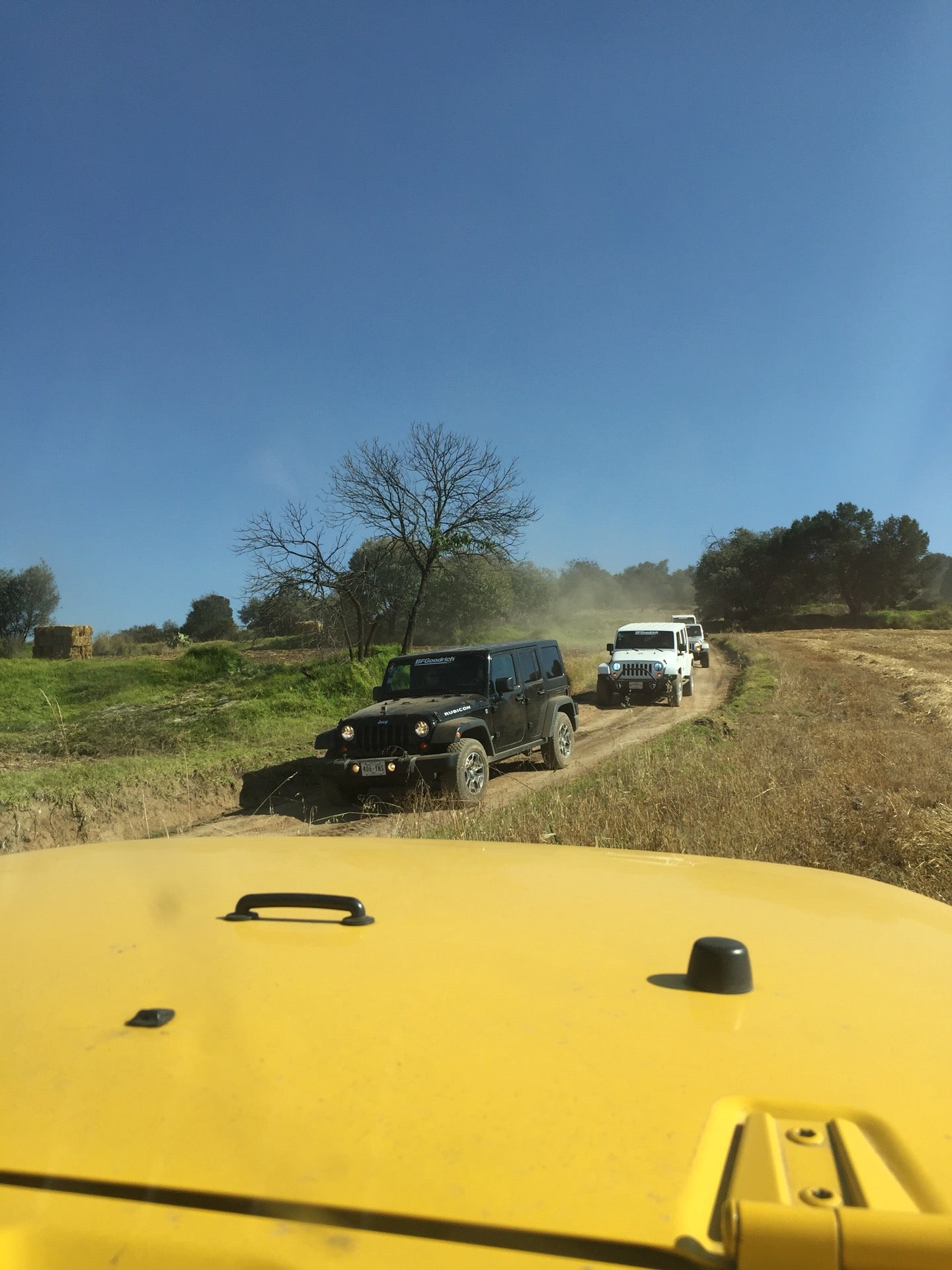 Benito Juarez, Tlaxcala