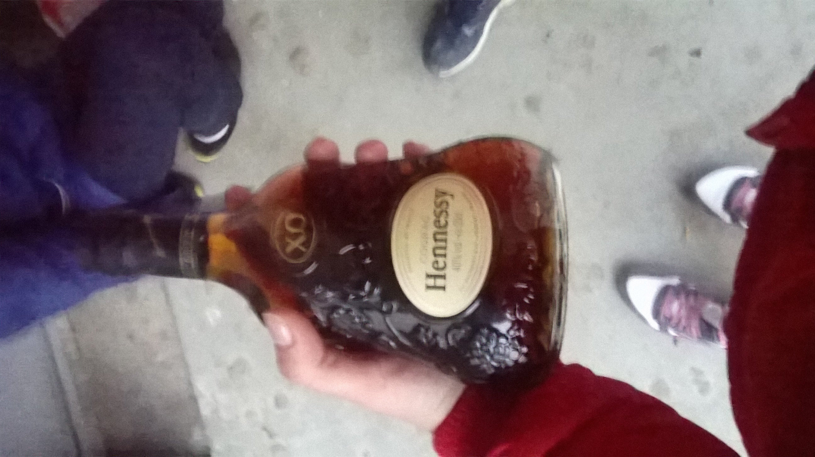 Трашутинский Двор