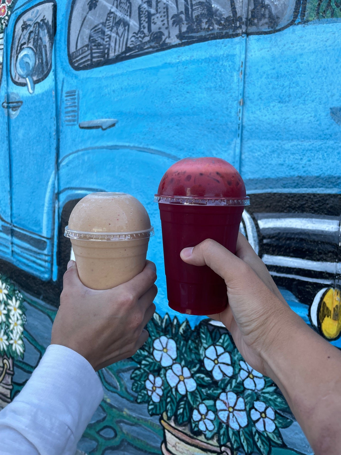 Tropical Juice LA restaurant in Los Angeles