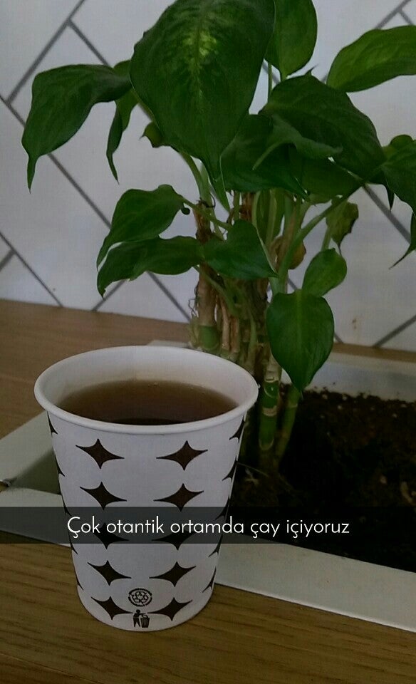 T. C Biruni Üniversitesi Kantin Logo