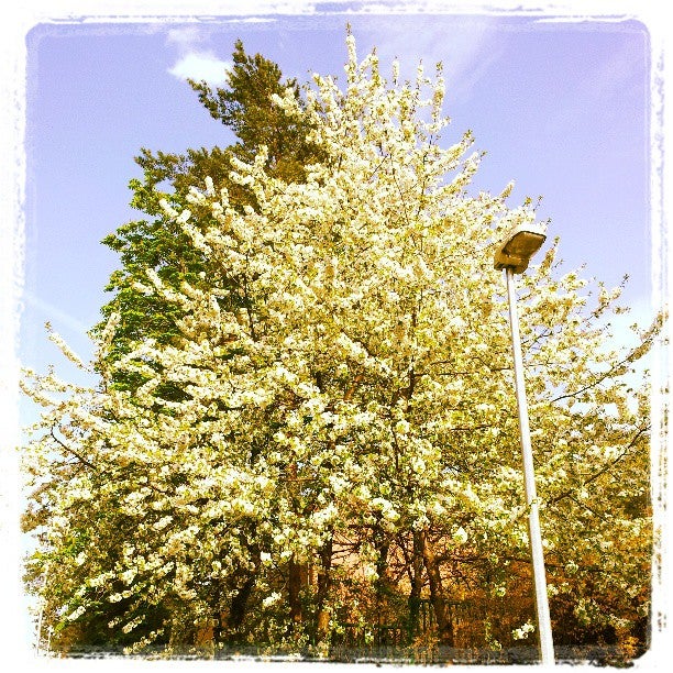 Štěchovická - photo 2 showing the facility