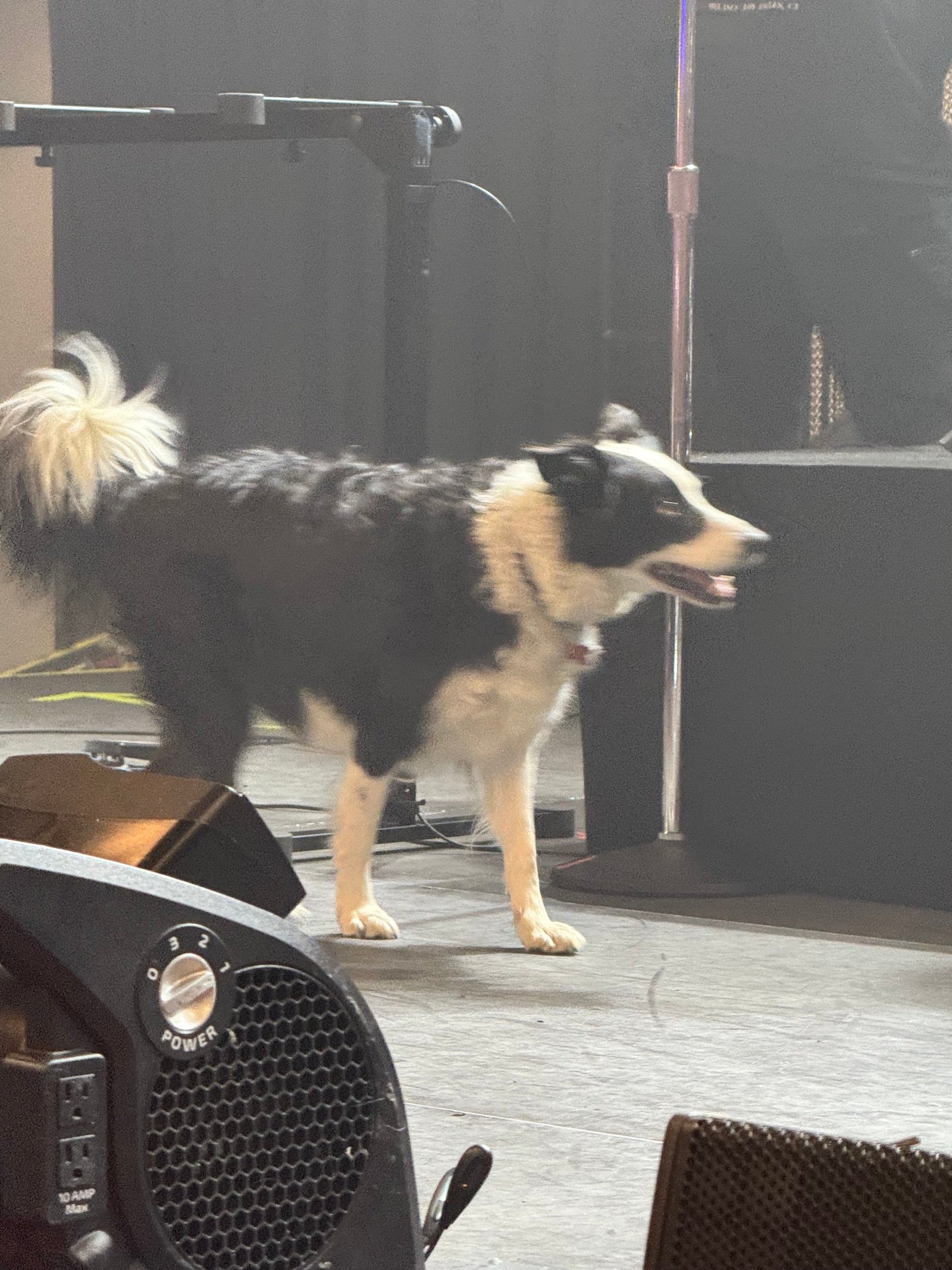 Knitting Factory - Spokane (17AJvZ)