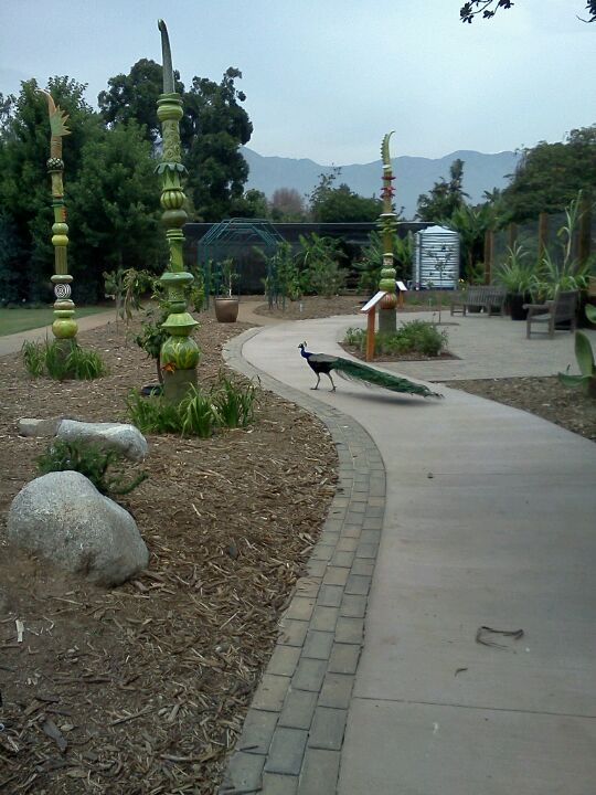 Los Angeles County Arboretum & Botanic Garden, Arcadia, CA Tickets