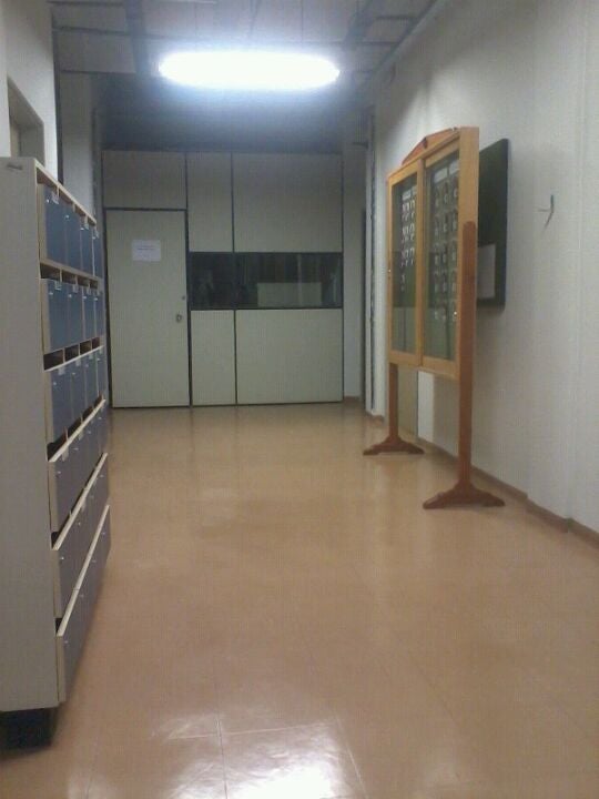 Dedic - Departamento De Informação E Comunicaçao