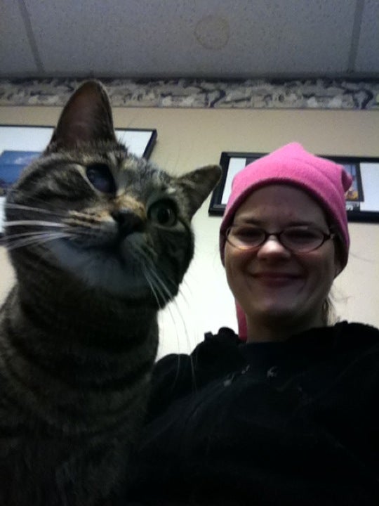 Giles County Animal Hospital Logo