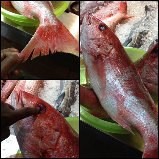 Brooklyn Terminal Market 8701 Foster Ave Brooklyn