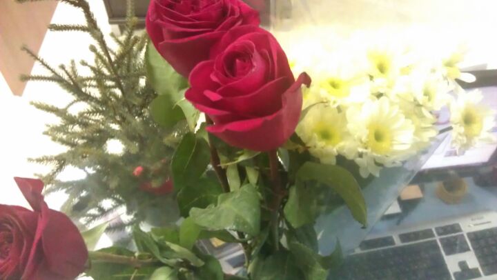 Баз Недвижимость