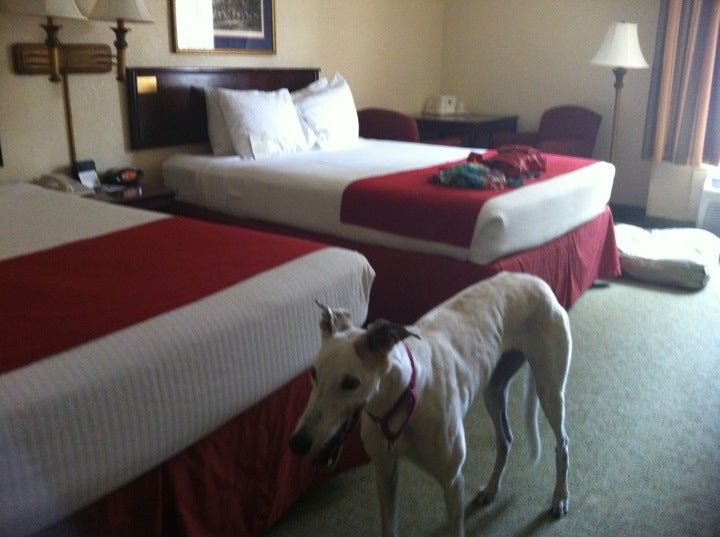 Best Western Leesburg Hotel & Conference Center