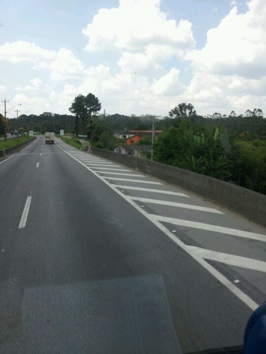 Bairro Das Palmeiras