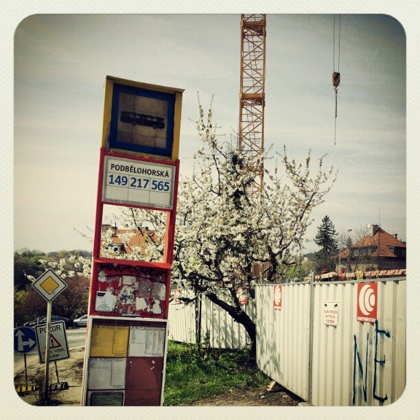 Hostel 5 - Podbelohorska - photo 2 showing the facility