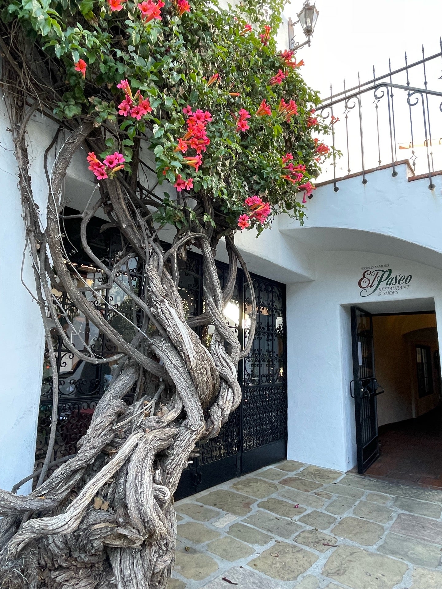 Au Bon Climat Tasting room