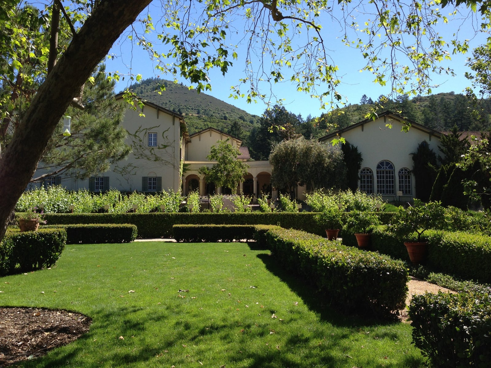 Chateau St Jean Winery