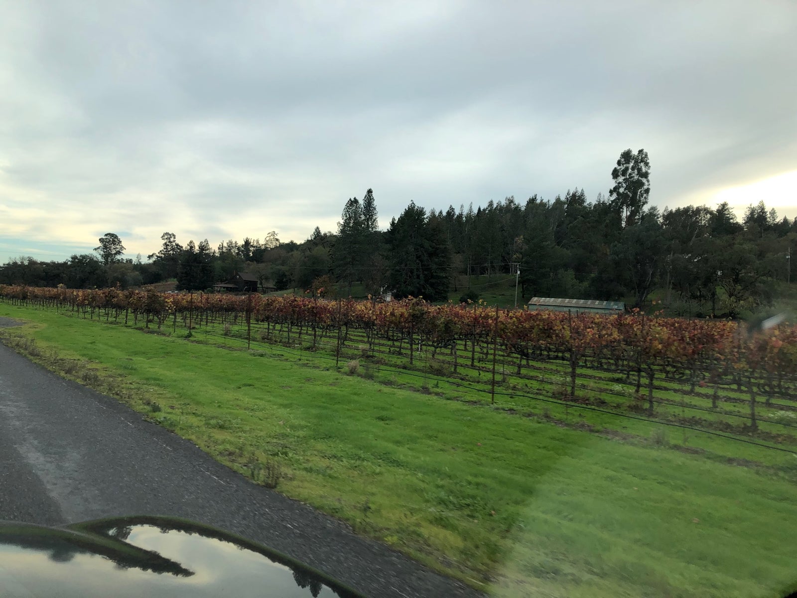 Russian River Valley