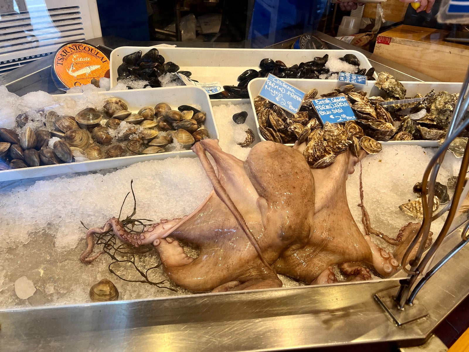 Hapuku Fish Market