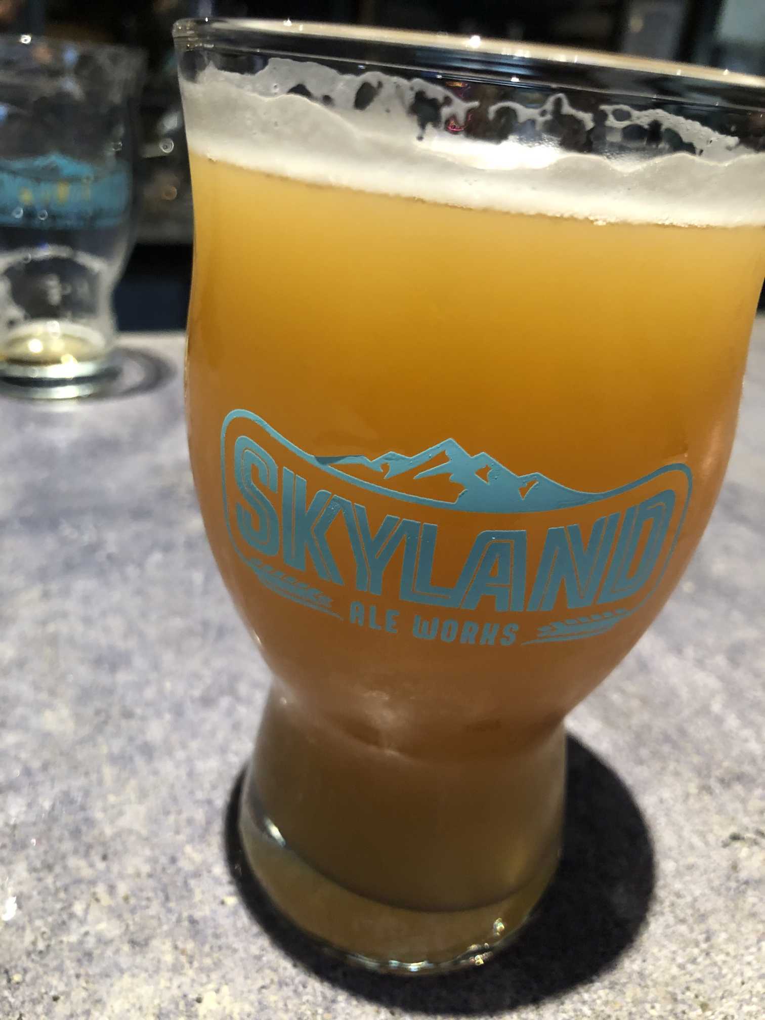 Skyland Ale Works