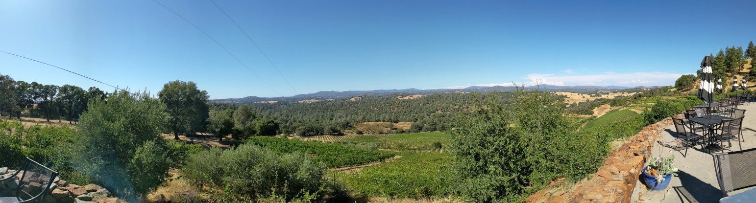Gianelli Vineyards & Tasting Room