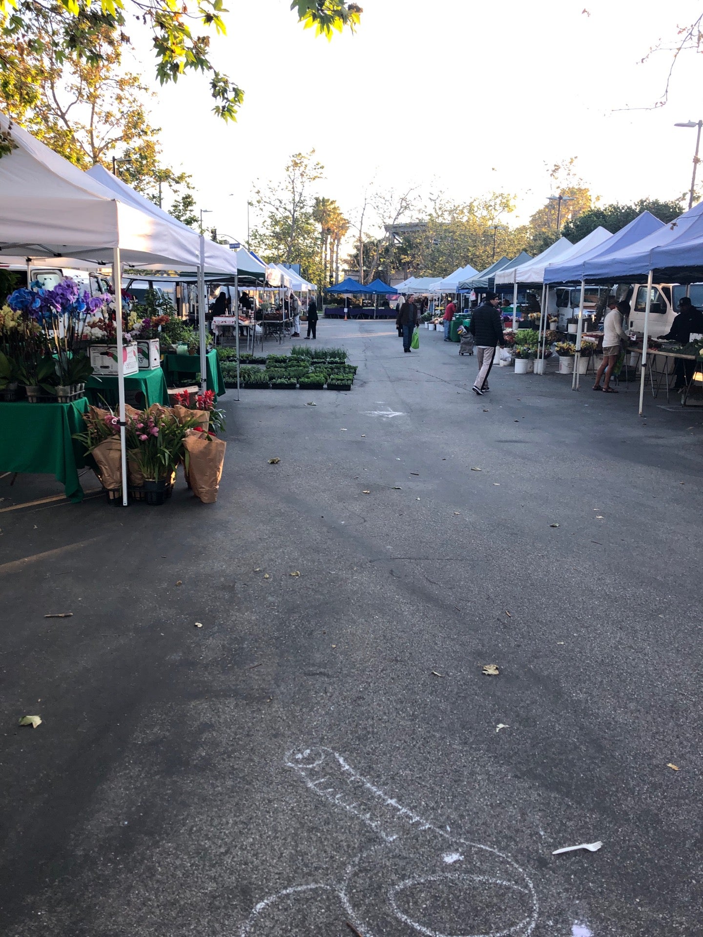 Venice Farmers Market